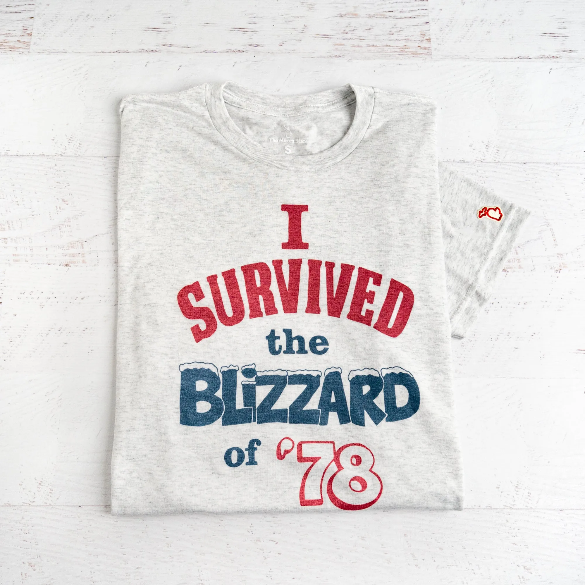 BLIZZARD OF 1978 (UNISEX) Embroidered Relaxed Wear Fit