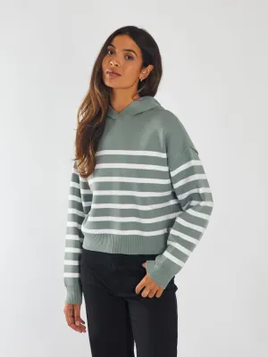 Meredith Knit Sage Leaf Abrasion Resistant Yarn