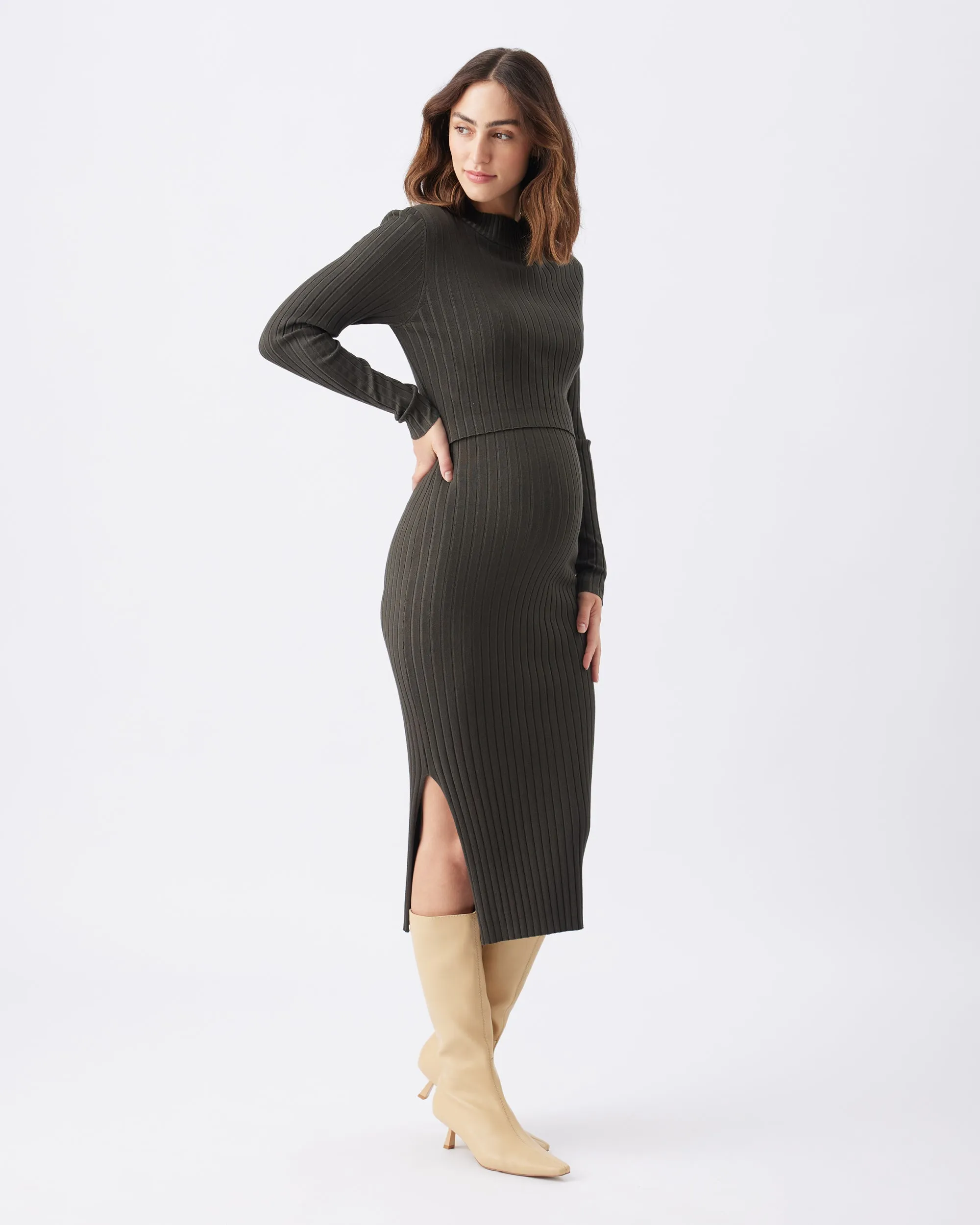 Relaxed Fit Nella Rib Nursing Knit Dress  Ivy