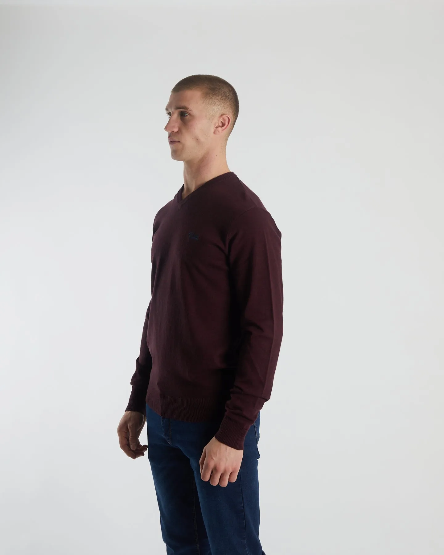 Smart Fit Wrinkle Resistant Tony V Neck Wine Port